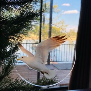 Seagull Bird Ornament Holiday Christmas acrylic